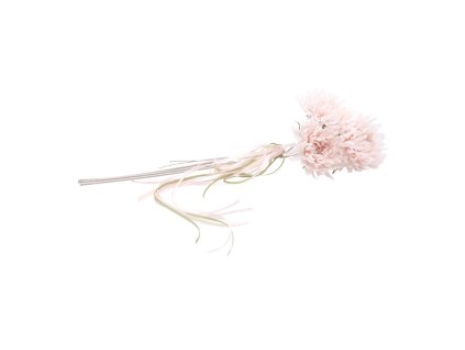 bouquet 3 scabieuses poudre 13cm x 13cm x 55cm