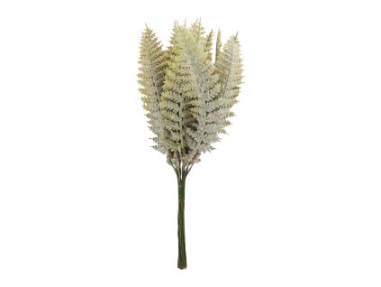 small bunch of fougere 18cm