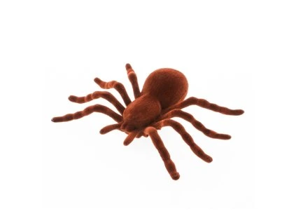 Dekorácia - Hnedý pavúk