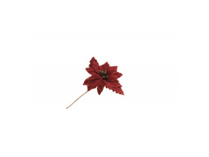burgundy poinsettia stem gold glitter on card 11cm