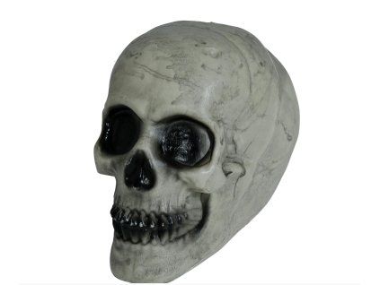 Dekorácia - Lebka sivá 20 cm