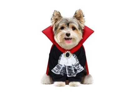 Costum pentru câini - Dracula