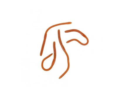 Dekorácia - Dážďovky 4 ks