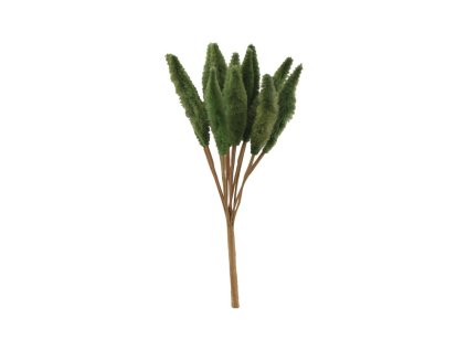 Iarbă uscată Lagurus - Verde 12 buc