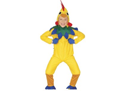 Costum pentru copii - Pui de găină