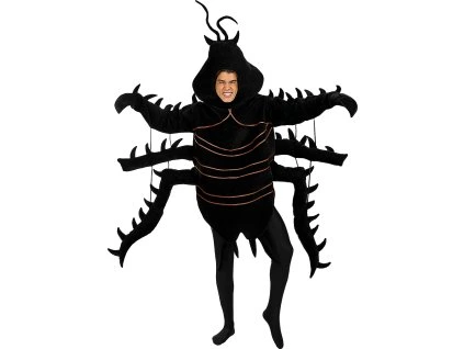 Kostým pre dospelých - Šváb