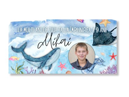 lilo a stitch (72)