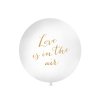Love is in the air balon