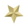 Visiaca dekoracia hviezda
