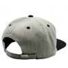 assassin s creed snapback cap grey crest (2)