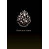 Projektor Harry Potter