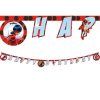 Banner - Happy Birthday (Miraculous)