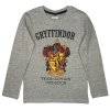 Chlapčenské tričko s dlhým rukávom - Harry Potter Chrabromil sivé (Mărimea - Copii 134)