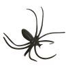 Dekorácia pavúkov 50 ks