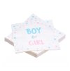 bag 20 napkins 3 plys boy or girl 33cm x 33cm