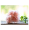 bunch of 6 dahlia pastel pink 26cm (1)