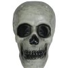 95674 1 dekoracia lebka siva 20 cm