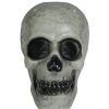 Dekorácia - Lebka sivá 20 cm