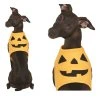 Kostým pre psa - Tekvica