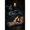 main de sorciere bougeoir polyresine 23cm x 10cm x 9 5cm (2)
