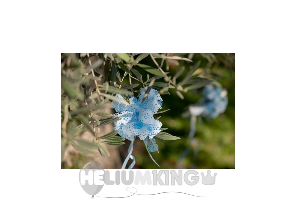 Okrasne pentlje - enobarvne 5 kosov