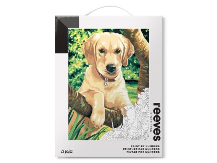 780804866193 RVS AMAZON 2560PX PAINT BY NUMBERS LABRADOR [FOP] 780804866193