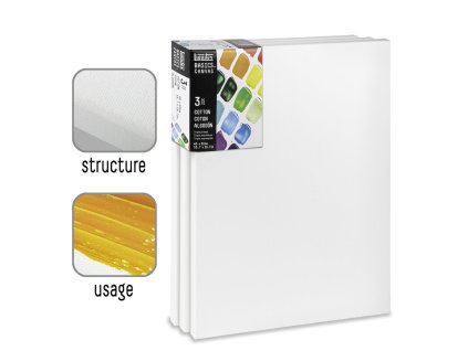 887452048411 LQX BASICS CANVAS 40X50CM X3 887452048411 [ZOOM]