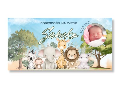 Otroška zabava - Safari