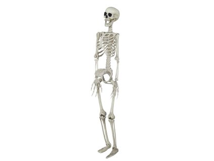 Dekoracija Okostnjak 90 cm