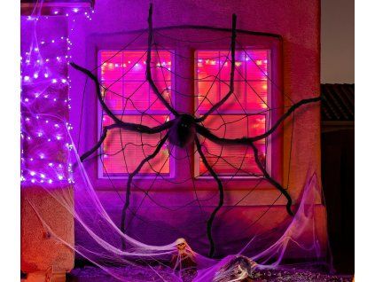 Pavučina s pavúkom