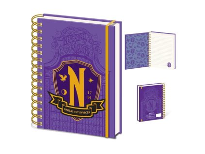 Zápisník - Wednesday, Nevermore