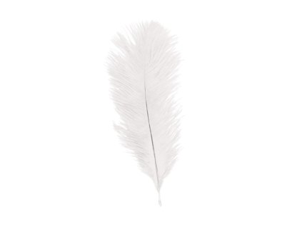 bag of 5 white ostrich feathers 20 25cm (1)