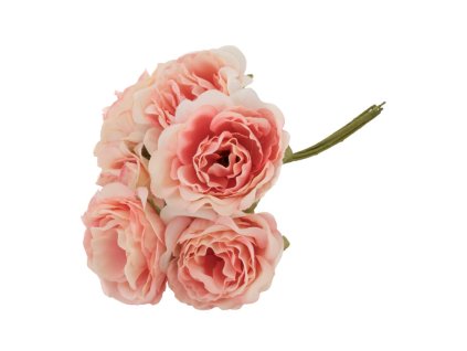 bunch of 6 old pink peonies 9cm x 5cm x 14cm
