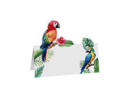 set 6 parrot table place cards 8cm x 8cm