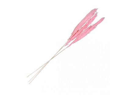 3pcs pink pampas flowers 100 135cm