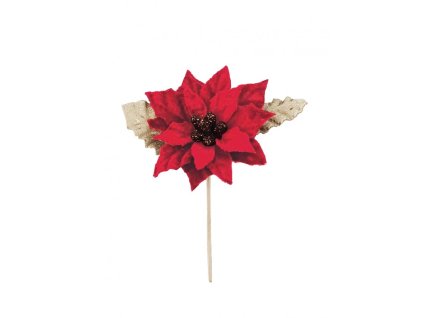 red poinsettia on stem w golden leaves 6cm x 9cm