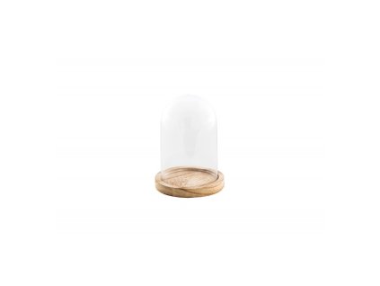 glass cover on wooden base dia 10cm x 13 7cm