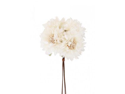 bunch of cream flowers 26cm flower dia 6cm