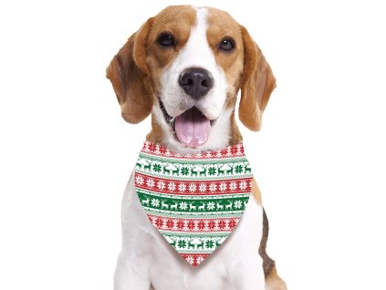 Pasje ruto s prazničnim motivom