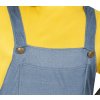 Kostum Minion