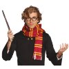 Komplet Harry Potter - šal in očala