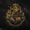 Shopper Kabelka Harry Potter - Rokfort