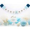 Banner - Baby Boy 15 x 160 cm