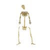 set of 20 mini plastic skeleton bones 9cm (1)