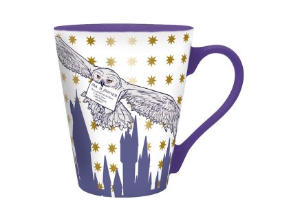 harry potter mug 250 ml letter from hogwarts cardboard pkgx2