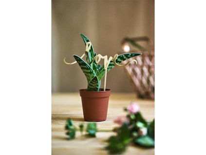 Ozdoba na tortu "Love" zlatá