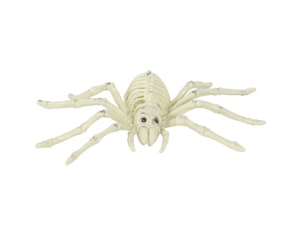 Kostra pavúka