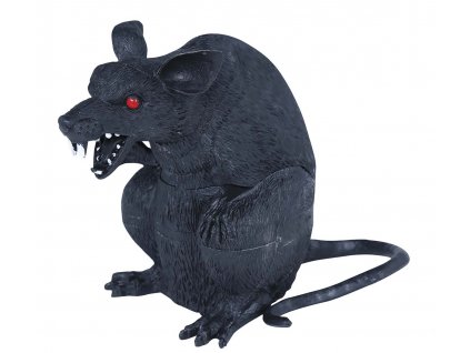 Čierny potkan