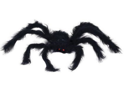 Čierny pavúk 50 cm