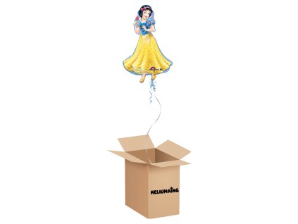 balony box 2024 06 05T132048.061